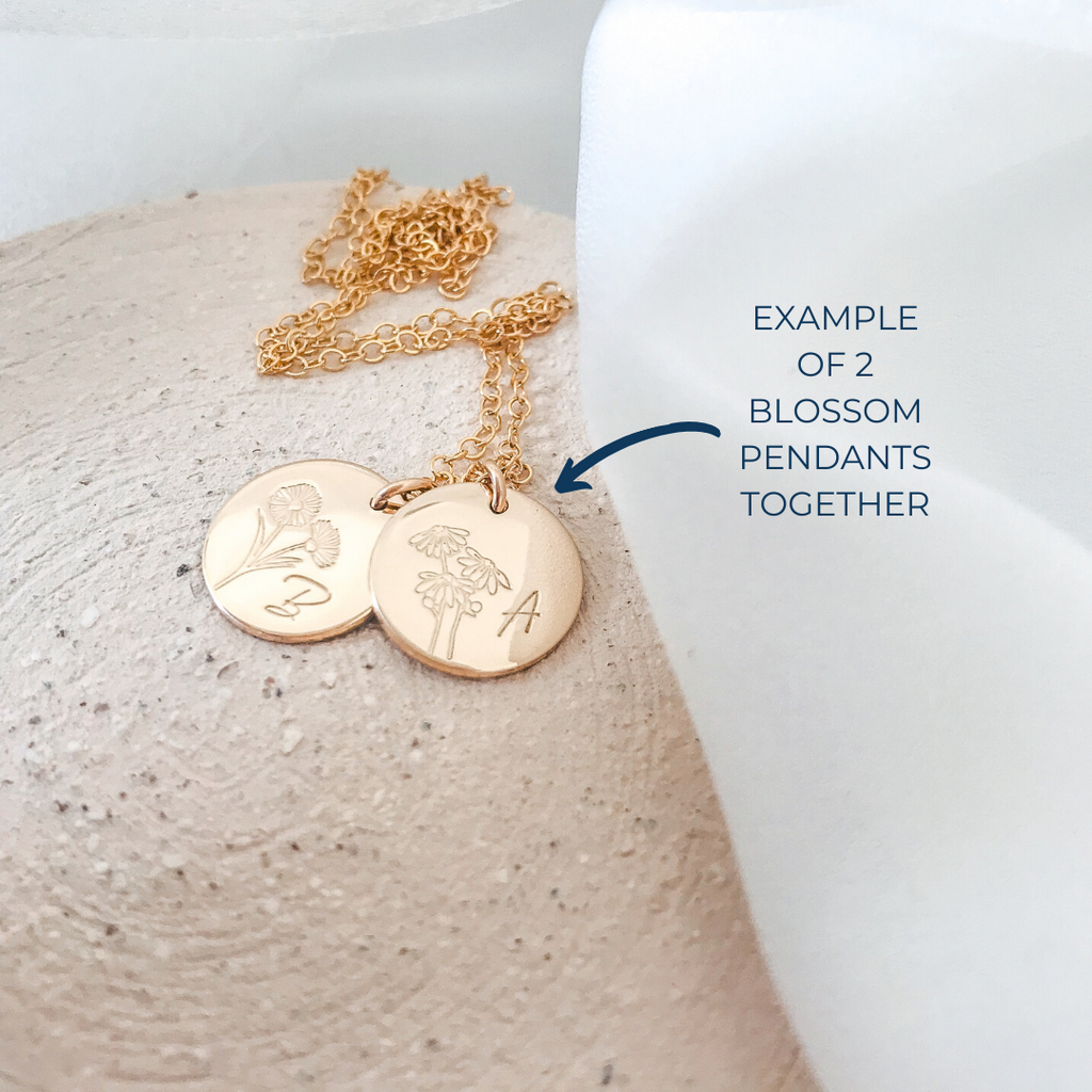 Carnation • Admiration • January Birth Flower