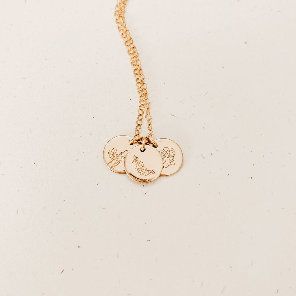 Carnation • Admiration • January Birth Flower