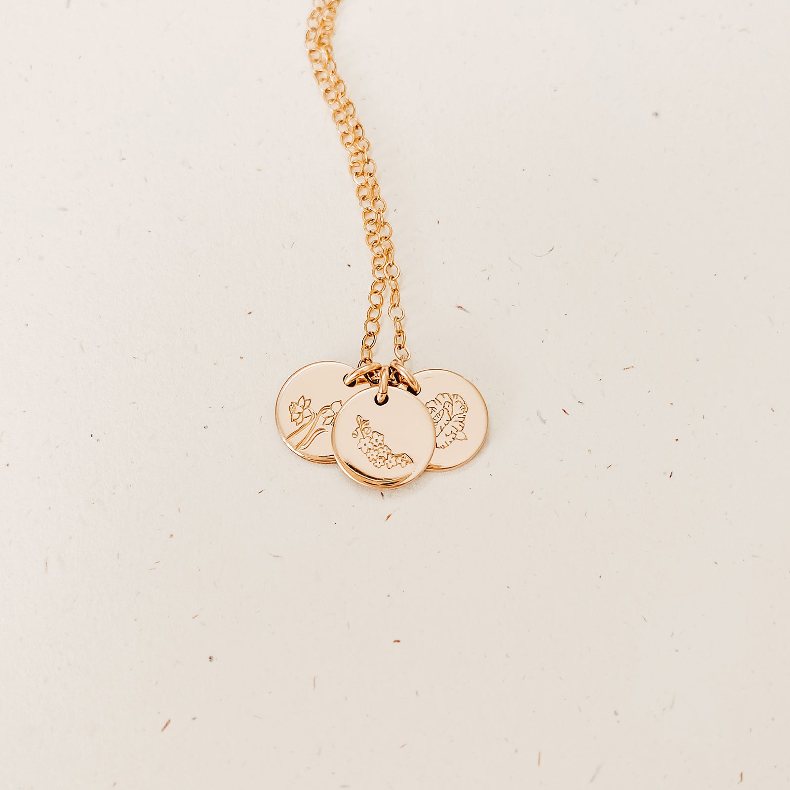 Carnation • Admiration • January Birth Flower