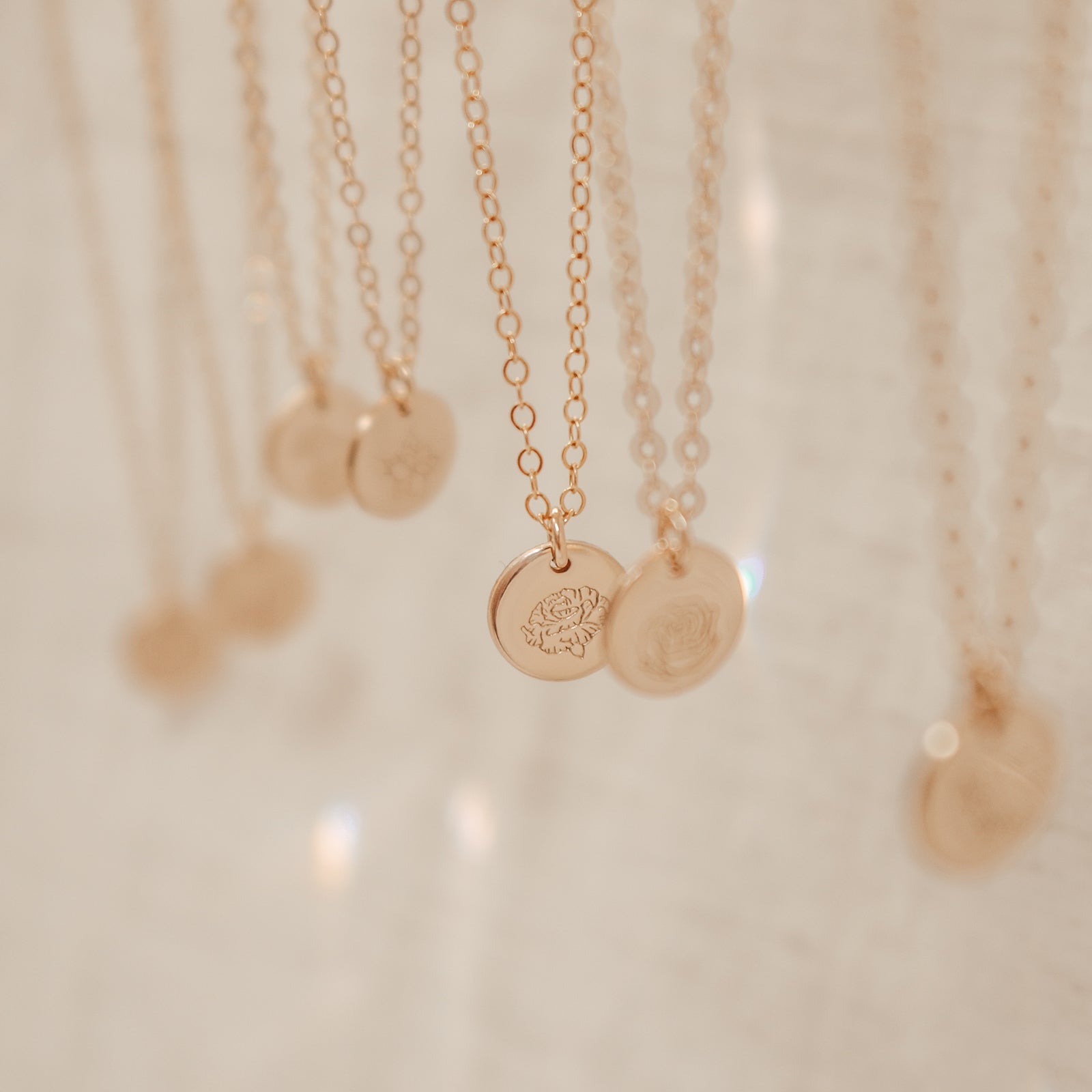 Carnation • Admiration • January Birth Flower